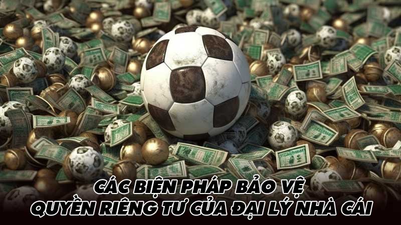 Các biện pháp bảo vệ quyền riêng tư của đại lý nhà cái