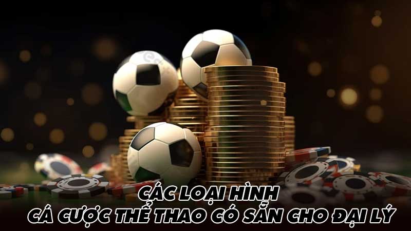 Các loại hình cá cược thể thao có sẵn cho Đại lý