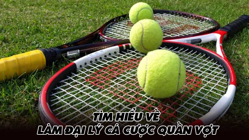 Tìm hiểu về làm đại lý cá cược quần vợt